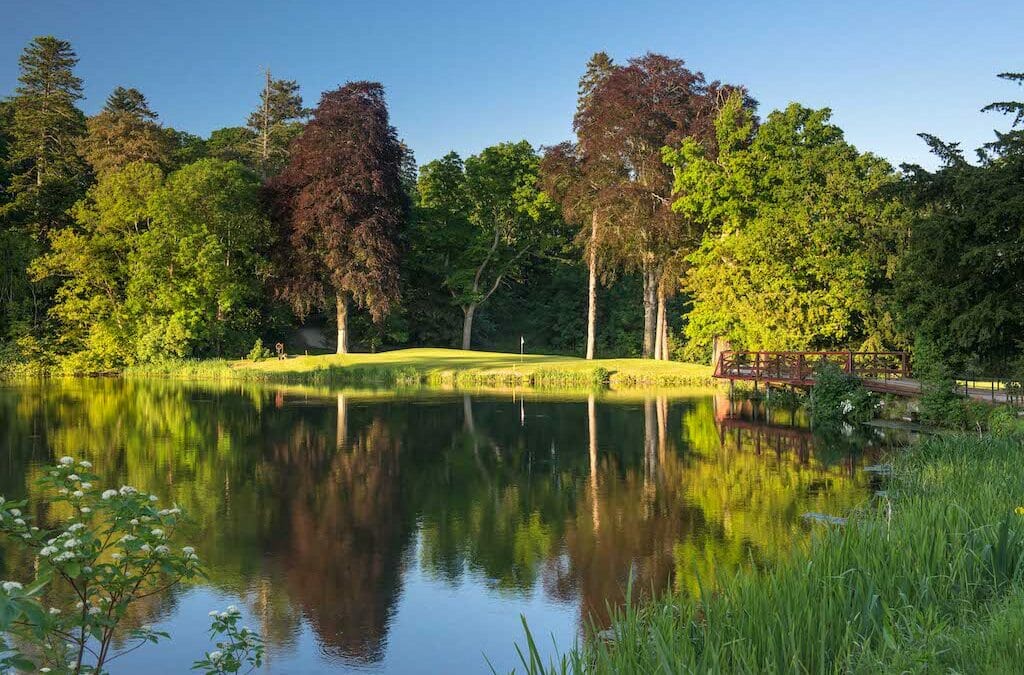 Greener future takes pride of place at Carton House